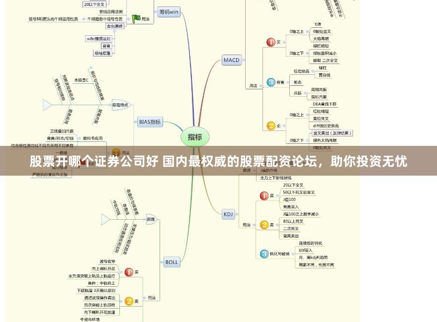 股票开哪个证券公司好 国内最权威的股票配资论坛，助你投资无忧