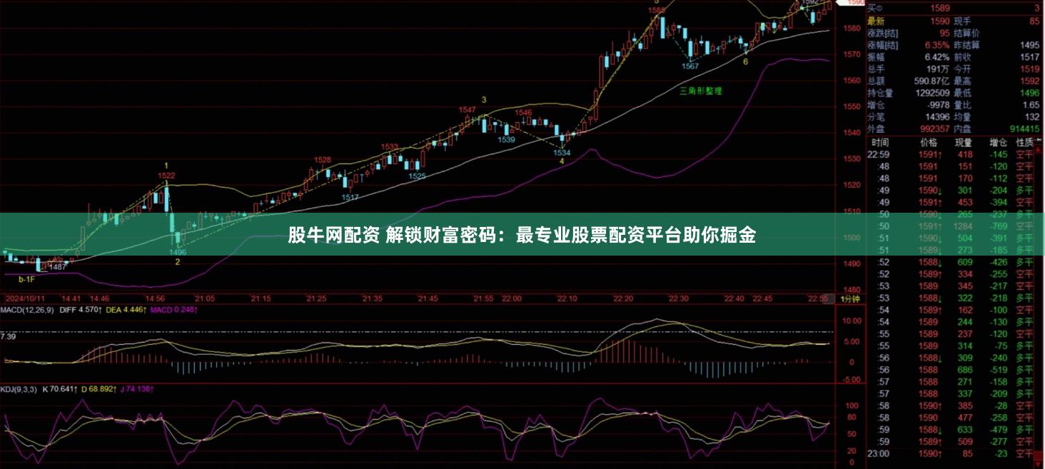 股牛网配资 解锁财富密码：最专业股票配资平台助你掘金